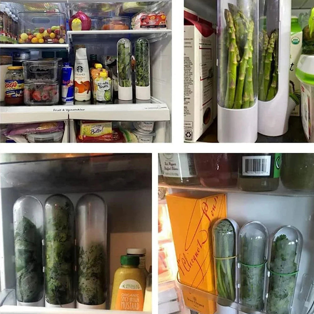 Fresh Herb Keeper & Vegetable Storage Pod — Airtight, Waterproof, Fridge-Ready